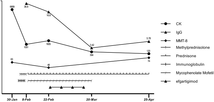 Case report: Rapid clinical improvement of anti-HMGCR immune-mediated necrotizing myopathy treated with efgartigimod.