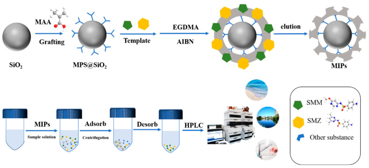 Dual-Template Molecularly Imprinted Polymers for Dispersive Solid-Phase Extraction Combined with High Performance Liquid Chromatography for the Determination of Sulfonamide Antibiotics in Environmental Water Samples.