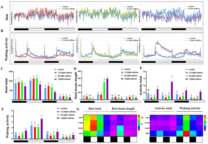 The Effect of Caffeine Exposure on Sleep Patterns in Zebrafish Larvae and Its Underlying Mechanism.