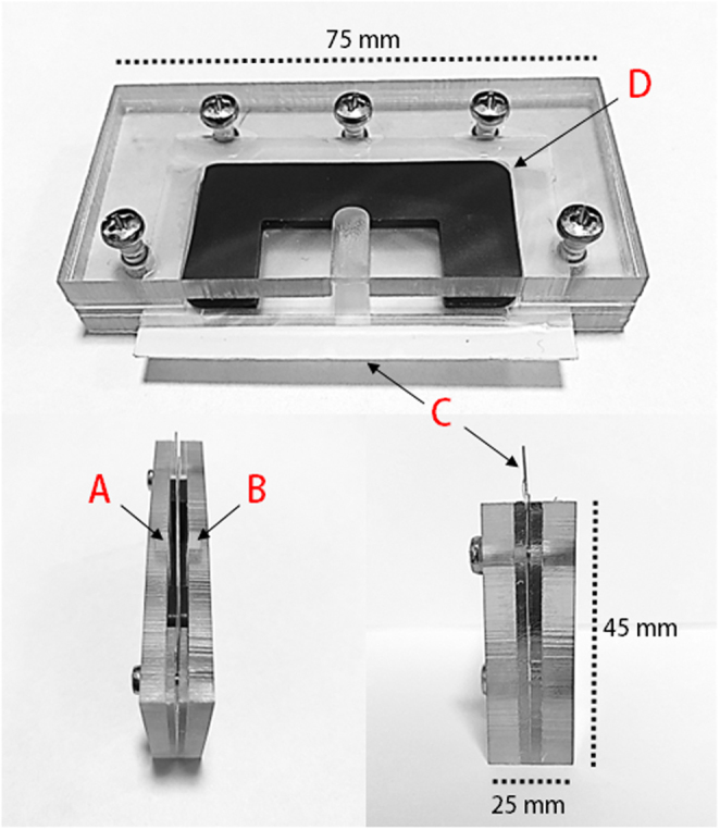 Optimizing equine sperm quality: an alternative to single layer centrifugation for sperm isolation.