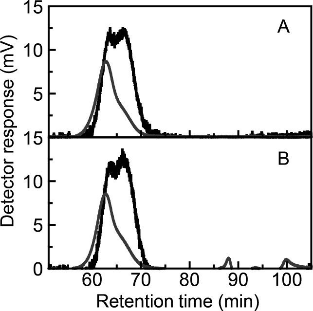 The Implications of the Non-precipitable Nature of Branched Amylose with Concanavalin A for the Branched Structures of Rice Amylose.