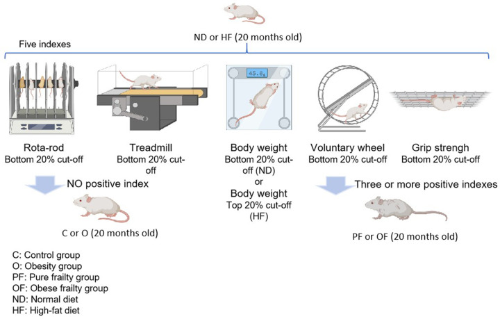 Overlapping and Distinct Physical and Biological Phenotypes in Pure Frailty and Obese Frailty.