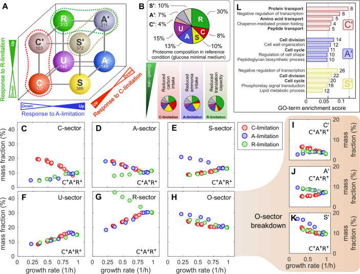 Author Correction: From coarse to fine: the absolute Escherichia coli proteome under diverse growth conditions.