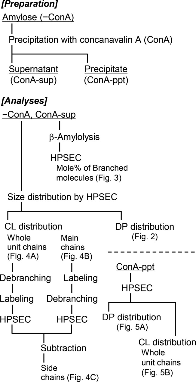The Implications of the Non-precipitable Nature of Branched Amylose with Concanavalin A for the Branched Structures of Rice Amylose.