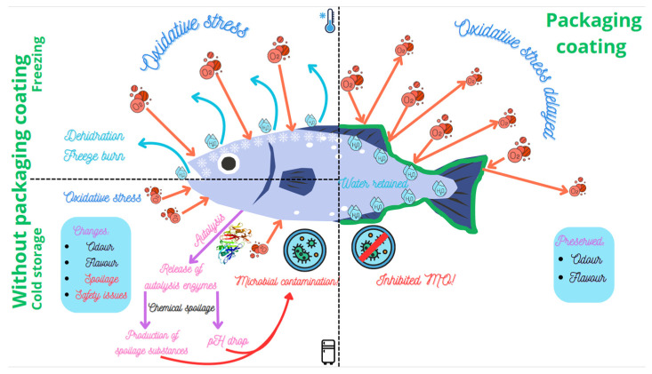 Edible Coatings for Fish Preservation: Literature Data on Storage Temperature, Product Requirements, Antioxidant Activity, and Coating Performance-A Review.