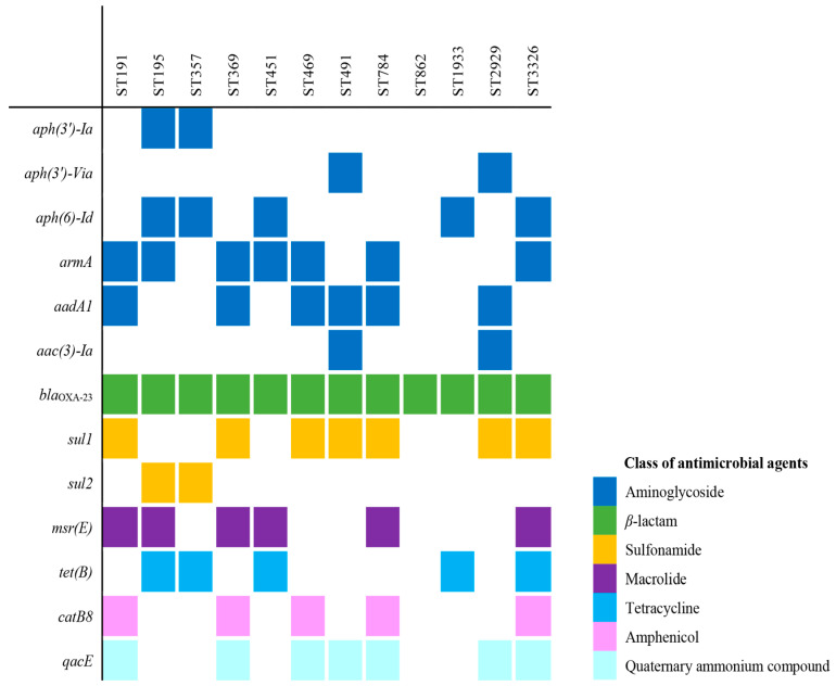 Genomic Analysis of Carbapenem-Resistant <i>Acinetobacter baumannii</i> Isolated from Bloodstream Infections in South Korea.
