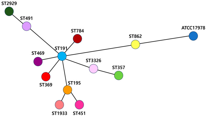 Genomic Analysis of Carbapenem-Resistant <i>Acinetobacter baumannii</i> Isolated from Bloodstream Infections in South Korea.