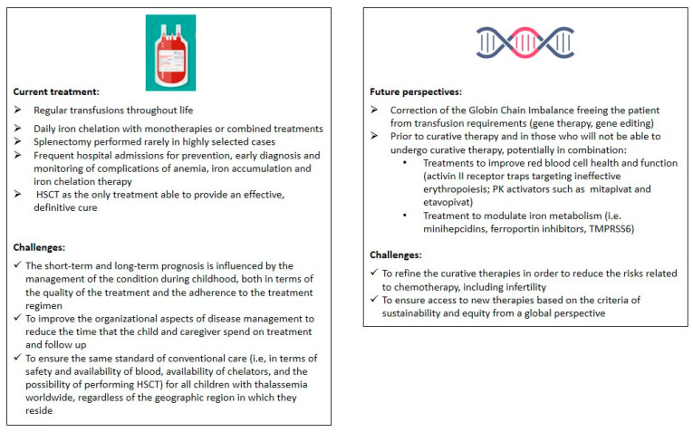 Beta Thalassemia in Children: Established Approaches, Old Issues, New Non-Curative Therapies, and Perspectives on Healing.