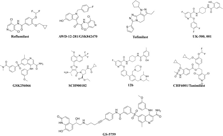 PDE4 Inhibitors and their Potential Combinations for the Treatment of Chronic Obstructive Pulmonary Disease: A Narrative Review.