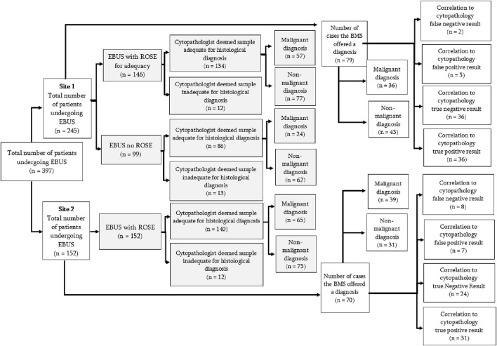 Rapid Onsite Evaluation: A Prospective Observational Study of Endobronchial Ultrasound-Guided Transbronchial Needle Aspirates to Expedite Diagnosis.