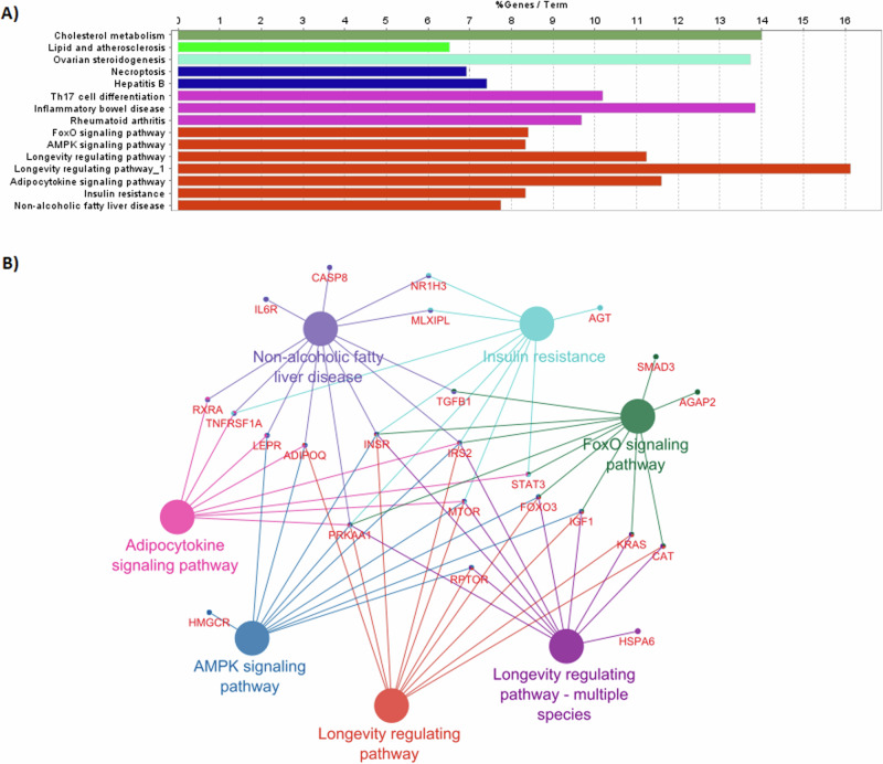 Genetic variants associated with longevity in long-living Indians.