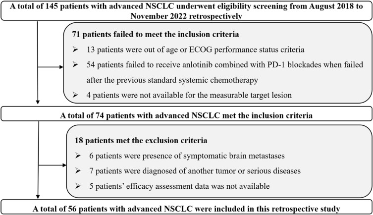 Feasibility and Tolerability of Anlotinib Plus PD-1 Inhibitors for Previously-Treated Advanced Non-Small Cell Lung Cancer: A Retrospective Exploratory Study.