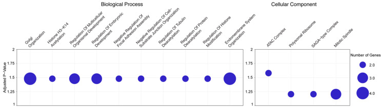 Ocular Mucous Membrane Pemphigoid Demonstrates a Distinct Autoantibody Profile from Those of Other Autoimmune Blistering Diseases: A Preliminary Study.
