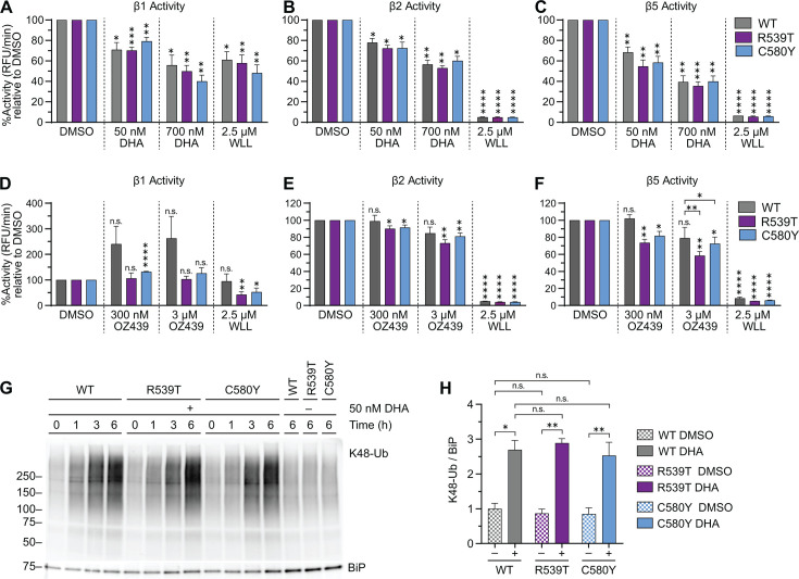 Enhanced cell stress response and protein degradation capacity underlie artemisinin resistance in <i>Plasmodium falciparum</i>.