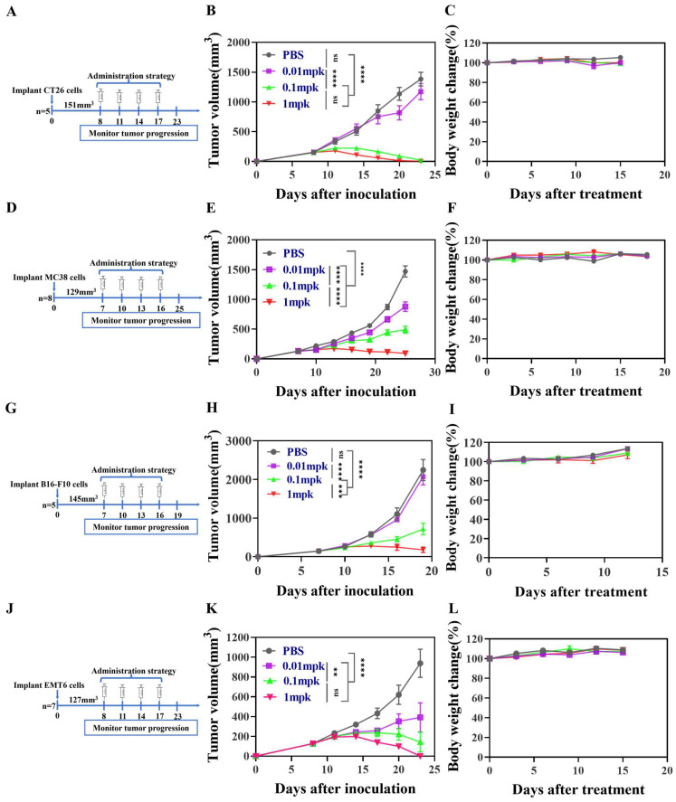 Enhancing Tumor Immunity with IL-12 and PD-1 Blockade: A Strategy for Inducing Robust Central Memory T Cell Responses in Resistant Cancer Model.