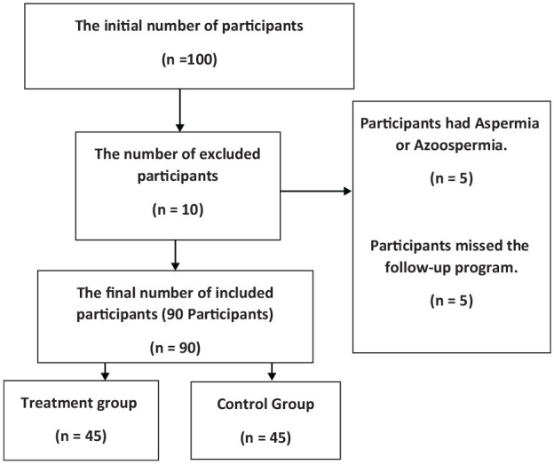 Direct and Gradual Electrical Testicular Shocks Stimulate Spermatogenesis and Activate Sperms in Infertile Men: A Randomized Controlled Trial.