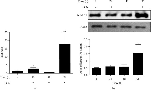 The Secretion of Inflammatory Cytokines Triggered by TLR2 Through Calcium-Dependent and Calcium-Independent Pathways in Keratinocytes.