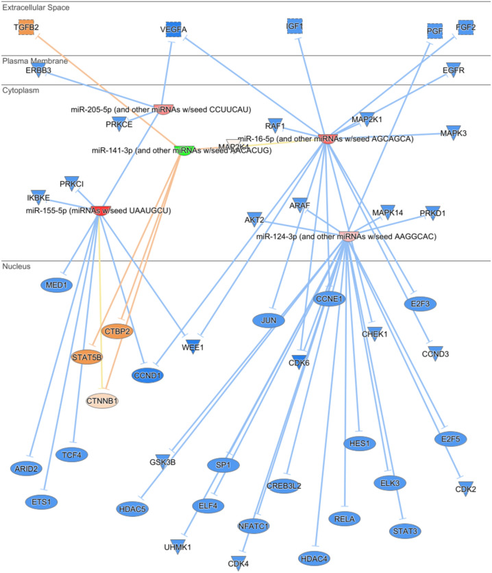 Evaluation of tumorigenesis-related miRNAs in breast cancer in Egyptian women: a retrospective, exploratory analysis.