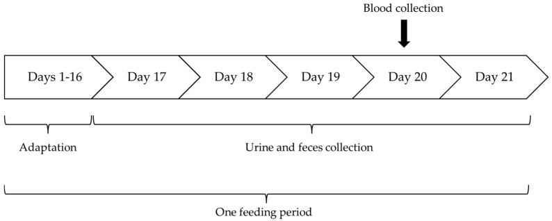 Effects of the Dietary Fat Concentration and Fatty Acid Pattern on the Urine Composition, Apparent Nutrient Digestibility, and Selected Blood Values of Healthy Adult Cats.