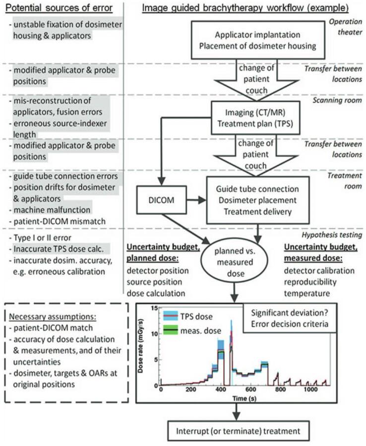 The clinical application of in vivo dosimetry for gynaecological brachytherapy: A scoping review