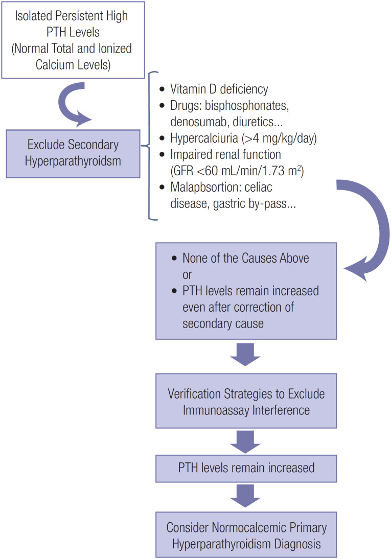 PTH immunoassay interference: differential diagnosis with normocalcemic primary hyperparathyroidism?