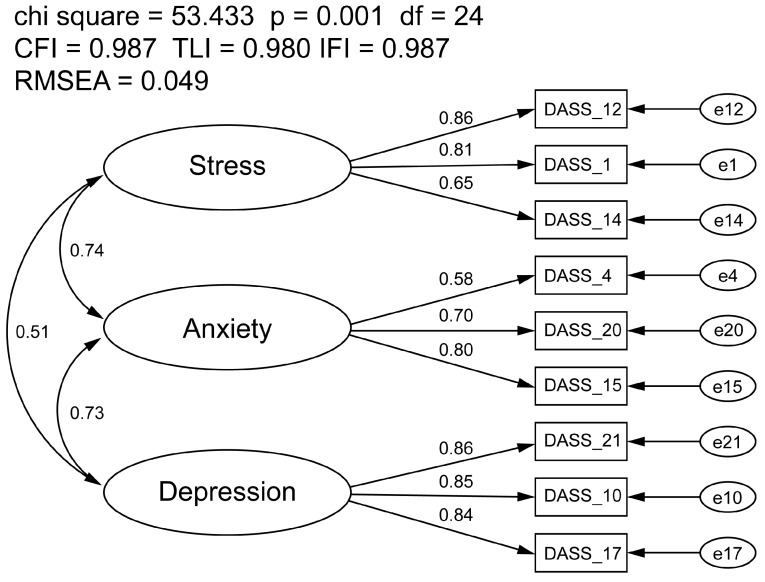 Examining the Factor Structure and Validity of the Depression Anxiety Stress Scale-21.