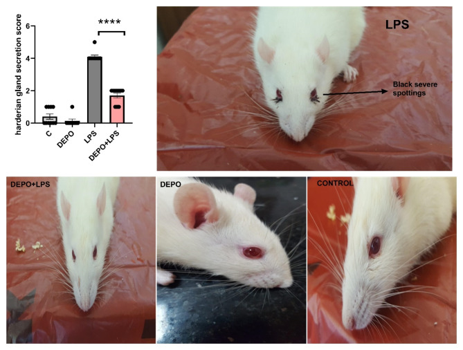 Darbepoetin alpha has an anxiolytic and anti-neuroinflammatory effect in male rats.