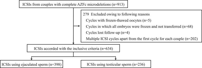 Independent factors associated with intracytoplasmic sperm injection outcomes in patients with complete azoospermia factor c microdeletions.