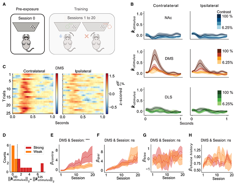 Pre-existing visual responses in a projection-defined dopamine population explain individual learning trajectories.