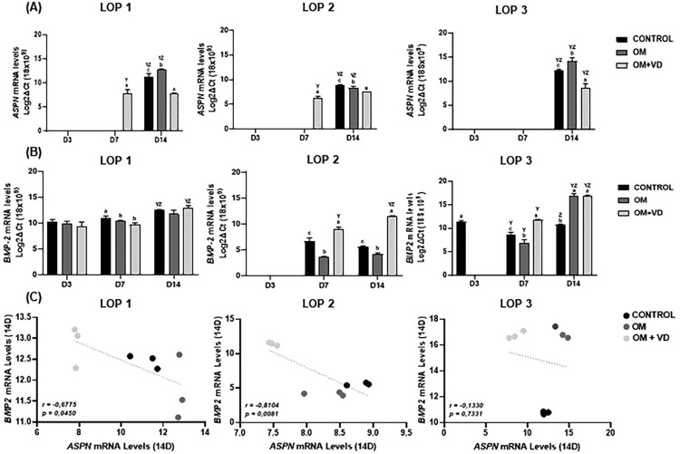 1,25(OH)2D3 increase osteogenic potential of human periodontal ligament cells with low osteoblast potential.
