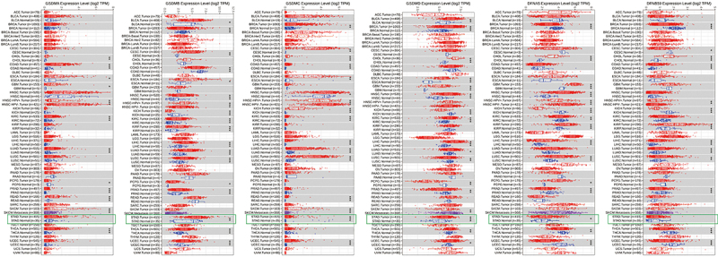 Diagnostic and prognostic value of the gasdermins in gastric cancer.
