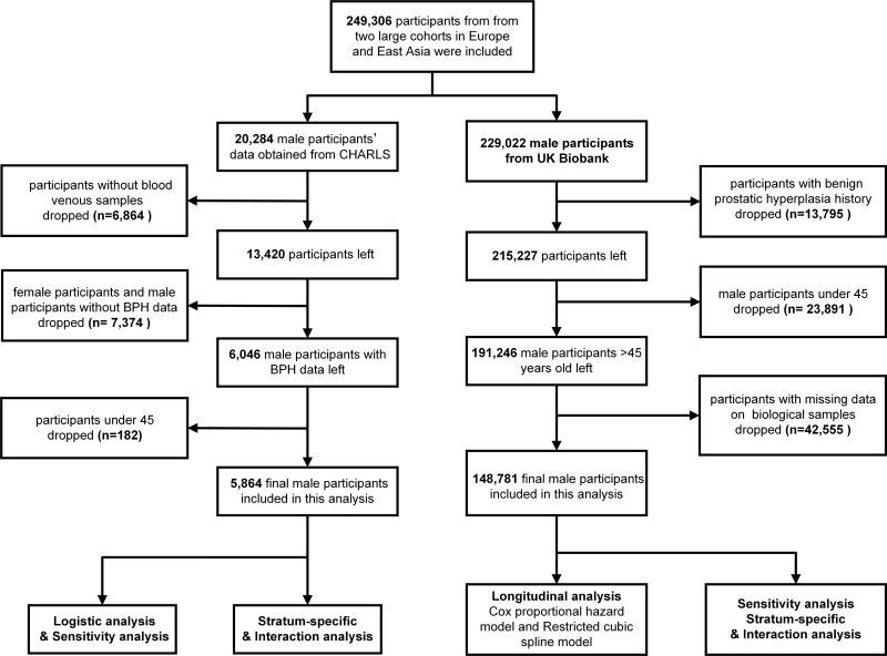 Circulating levels of blood biomarkers and risk of benign prostatic hyperplasia: Results from two large cohorts in Europe and East Asia.