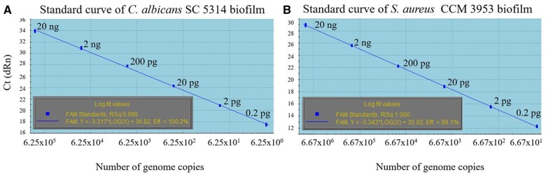 Practical application of PMA-qPCR assay for determination of viable cells of inter-species biofilm of <i>Candida albicans-Staphylococcus aureus</i>.