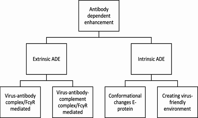 The role of antibody-dependent enhancement in dengue vaccination.