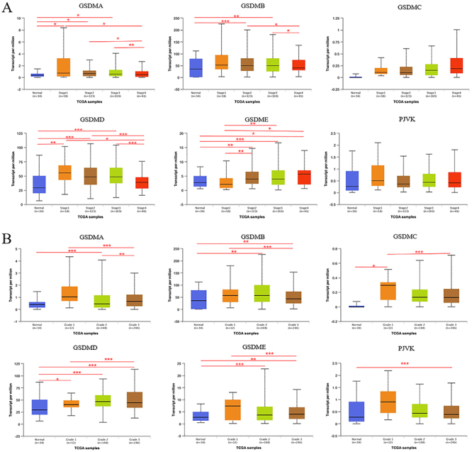 Diagnostic and prognostic value of the gasdermins in gastric cancer.
