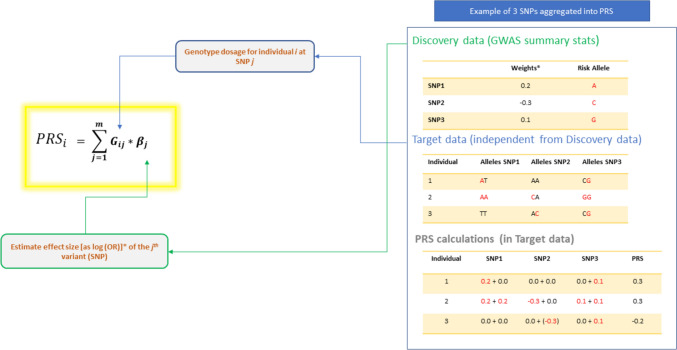 Methodologies underpinning polygenic risk scores estimation: a comprehensive overview.