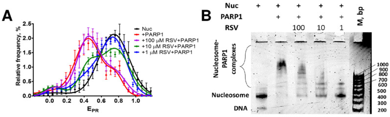 Resveratrol Inhibits Nucleosome Binding and Catalytic Activity of PARP1.