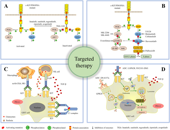 Current Drug Resistance Mechanisms and Treatment Options in Gastrointestinal Stromal Tumors: Summary and Update.