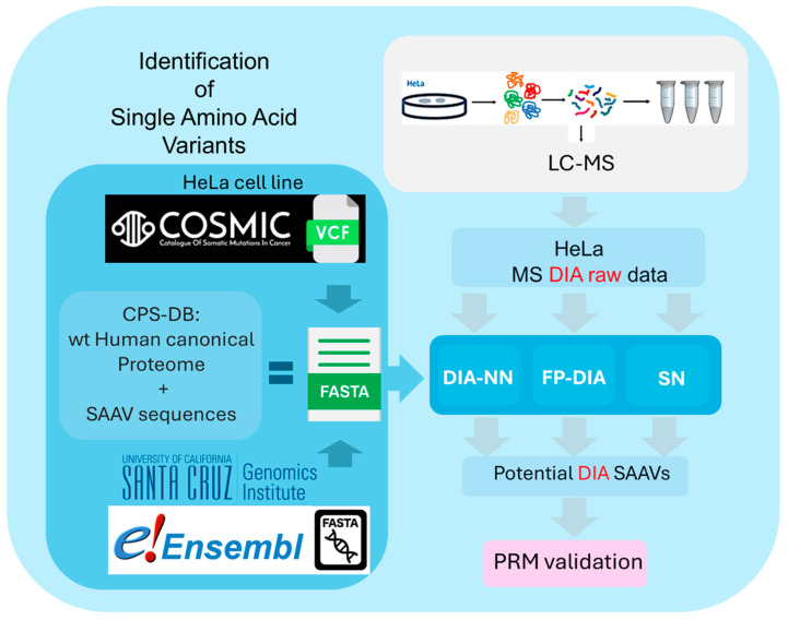 Assessment of Data-Independent Acquisition Mass Spectrometry (DIA-MS) for the Identification of Single Amino Acid Variants.