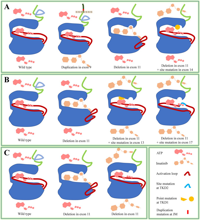 Current Drug Resistance Mechanisms and Treatment Options in Gastrointestinal Stromal Tumors: Summary and Update.