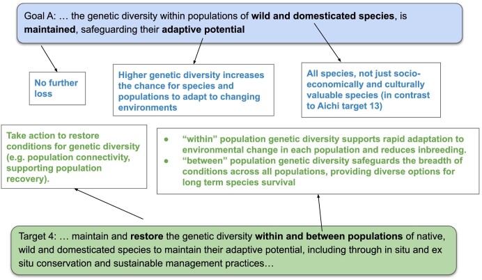 How can biodiversity strategy and action plans incorporate genetic diversity and align with global commitments?