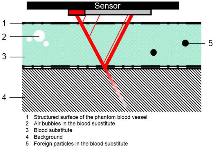 Influence of the orientation of constructed blood vessels during the 3D printing on the measurement of the pseudo-oxygen saturation of an artificial blood substitute using conventional oxygen sensors: a test series.