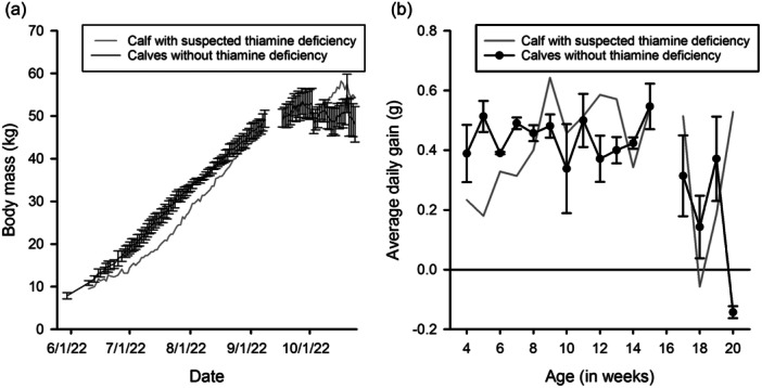 Suspected Case of Persistent Thiamin Deficiency in a Hand-Reared Caribou Calf.