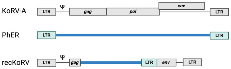 piRNA Defense Against Endogenous Retroviruses.