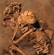Socio-economic evaluation of human-dog coexistence: A 40,000 years history.