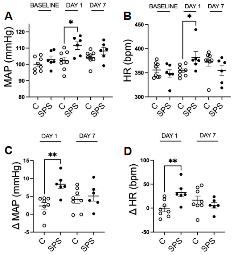 PTSD Increases Risk for Hypertension Development Through PVN Activation and Vascular Dysfunction in Sprague Dawley Rats.