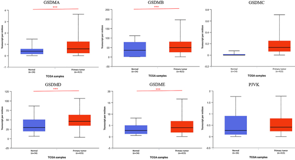 Diagnostic and prognostic value of the gasdermins in gastric cancer.
