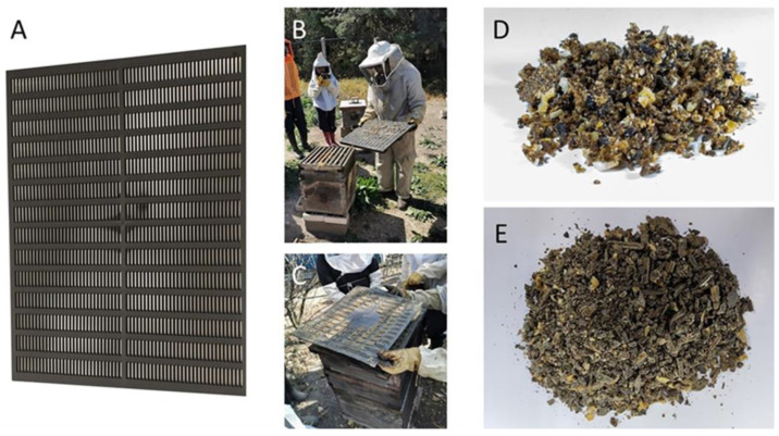 Determination of the Botanical Origin and Physicochemical Properties of a Propolis Sample Through an Integrated Methodology.