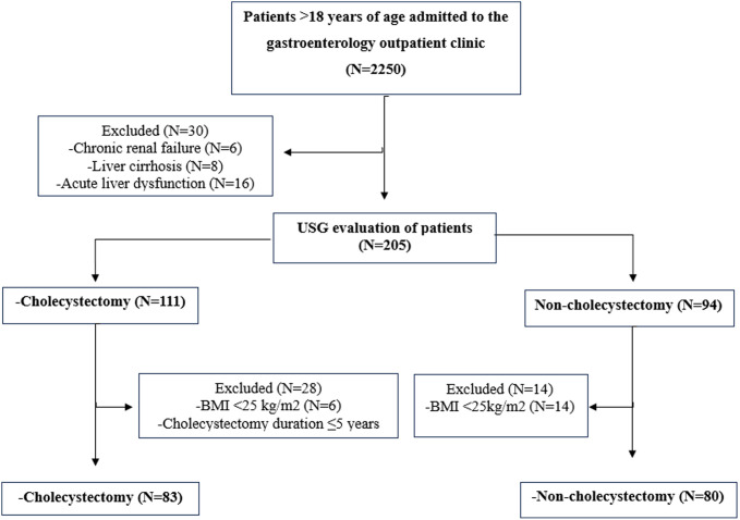 Metabolic Dysfunction Associated Fatty Liver Disease in Long-Term Cholecystectomy Patients: A Cross-Sectional Study.