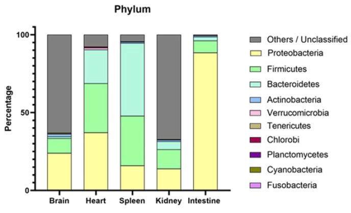 Systemic Granulomatosis in the Meagre <i>Argyrosomus regius</i>: Fishing for a Plausible Etiology.